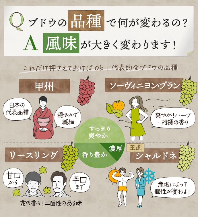 お気に入りの1本を見つけるならブドウの品種に注目して