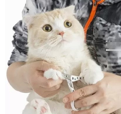 初心者でも扱いやすいハサミタイプ。切りやすさにこだわった設計