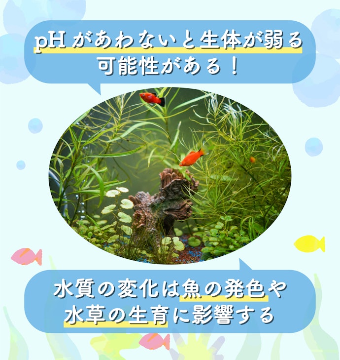 pHは生体ごとに適したものをチェックしよう