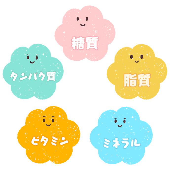栄養バランスのよさにも注目しよう