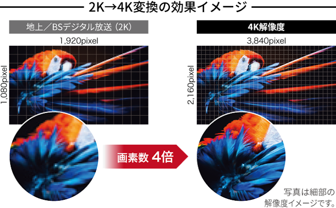 まずは4Kの映像を見たいかどうかで選択肢を絞ろう