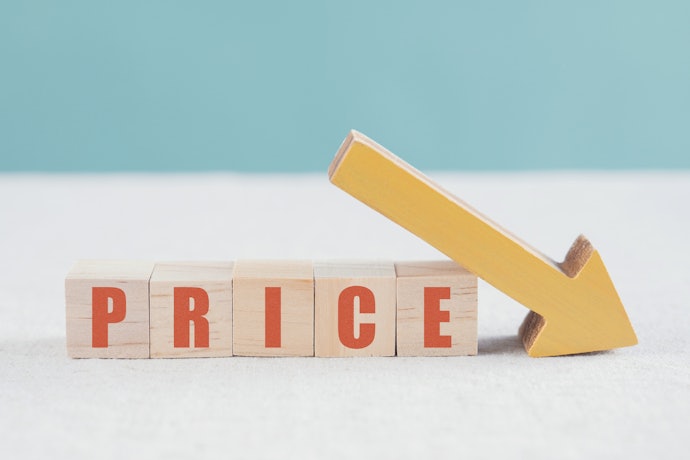 月額990円のキャンペーンはいつまで実施している?