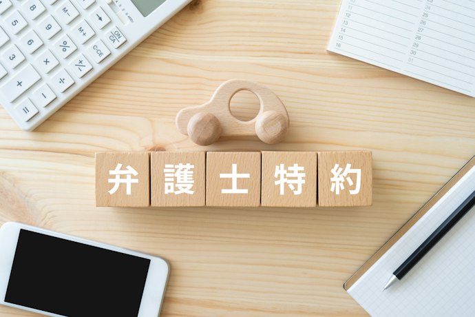 ④特約や補償対象の範囲が限定される可能性がある