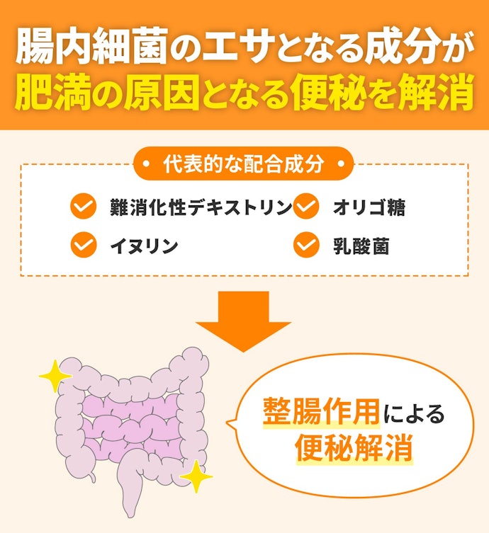 腸内環境が乱れている人には、整腸系成分の入ったダイエットサプリがおすすめ
