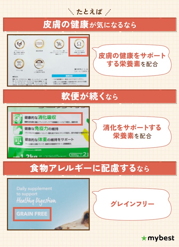 悩みに合わせたフードをチェックしよう