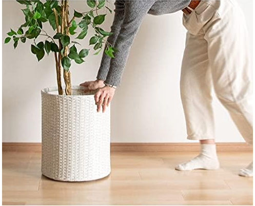 移動に便利なキャスター付きも候補に。大きくて重い鉢植えも楽に動かせる