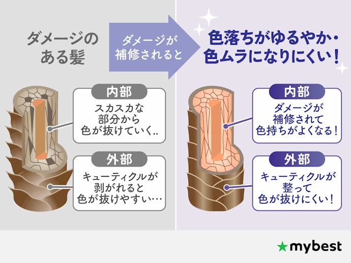 補修成分が充実した紫シャンプーならなおよし