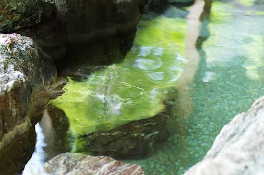 ゆっくり過ごすなら大浴場をチョイス!温泉にも注目しよう