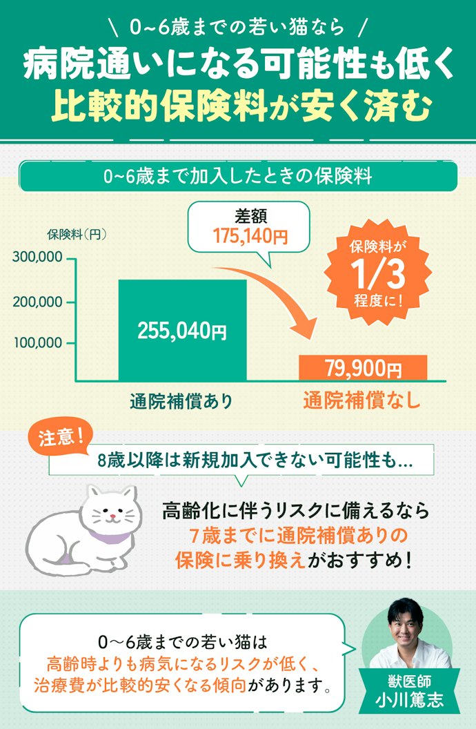 0~6歳までの猫なら通院補償なしのプランをチェック!