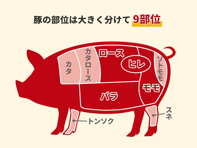 肉質の違いに注目しておいしい部位をチョイス