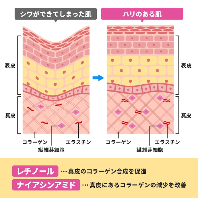 ハリ・弾力を高めるケアが第2ステップ。シワ改善の有効成分も活用