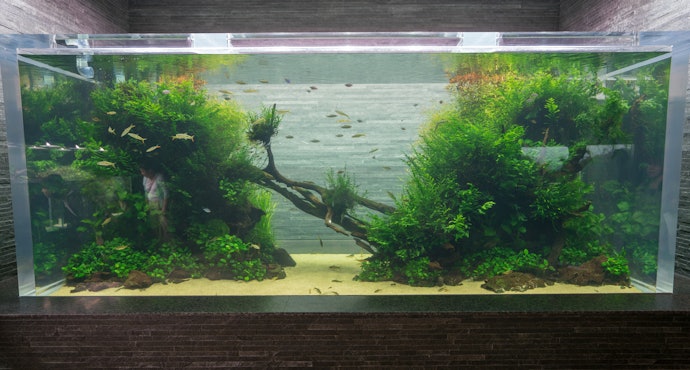 水槽のサイズ・生体に合った流量を選ぼう