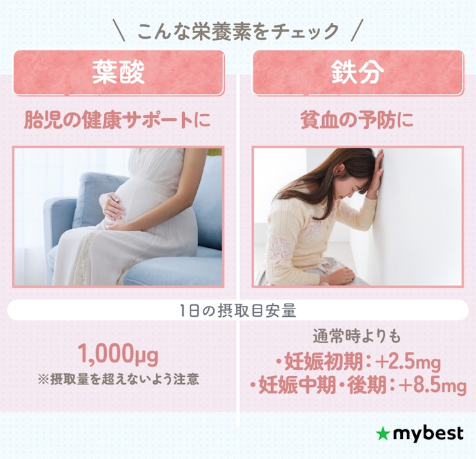 妊娠中は、タンパク質以外の栄養にも目を向けて選ぼう