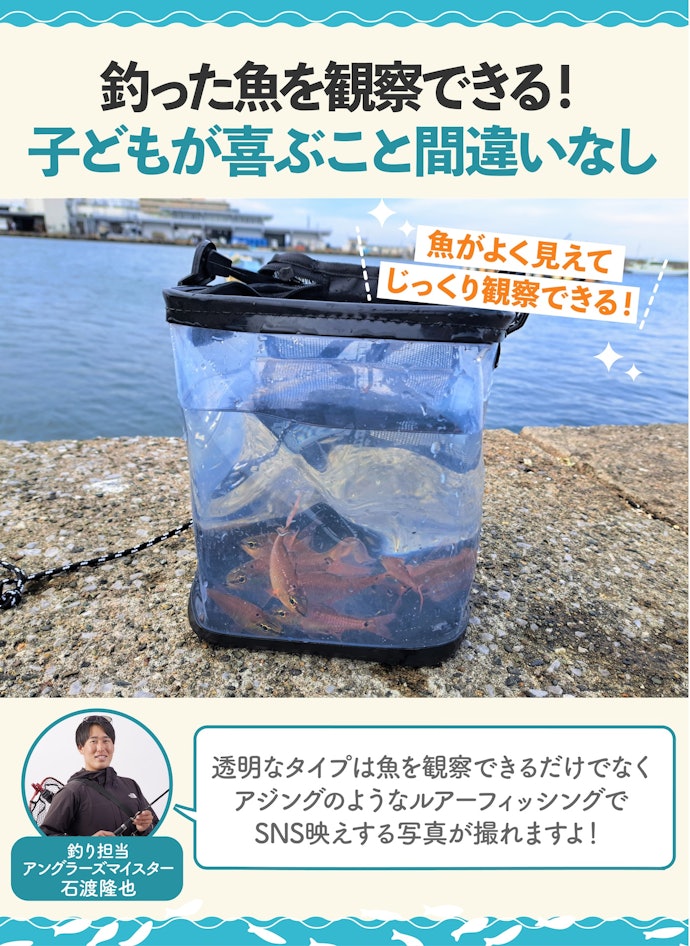 ファミリーフィッシングには透明タイプを選ぼう