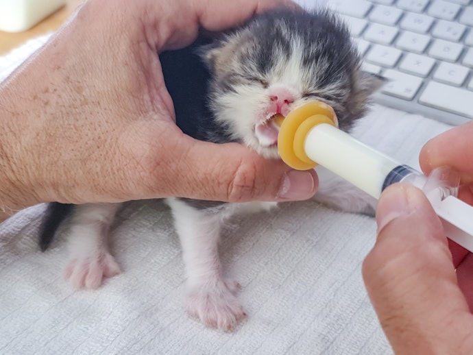 仰向けではなく、腹ばいで飲ませよう