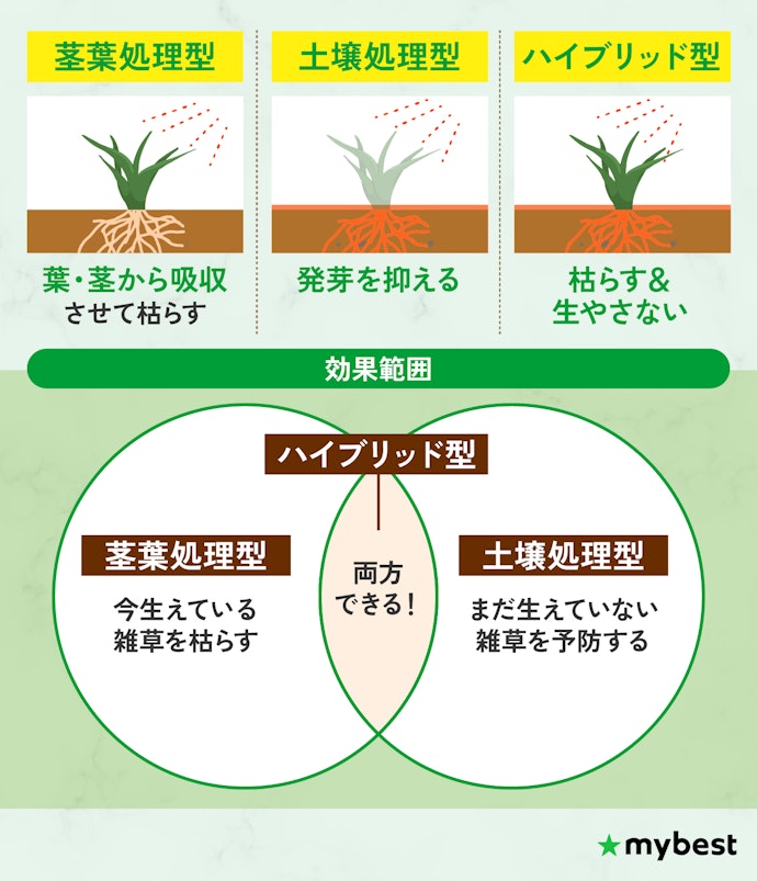 枯らしたい雑草の状態に合わせて処理タイプを選ぼう