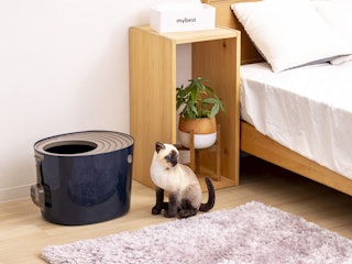 猫砂の飛び散りにくさ
