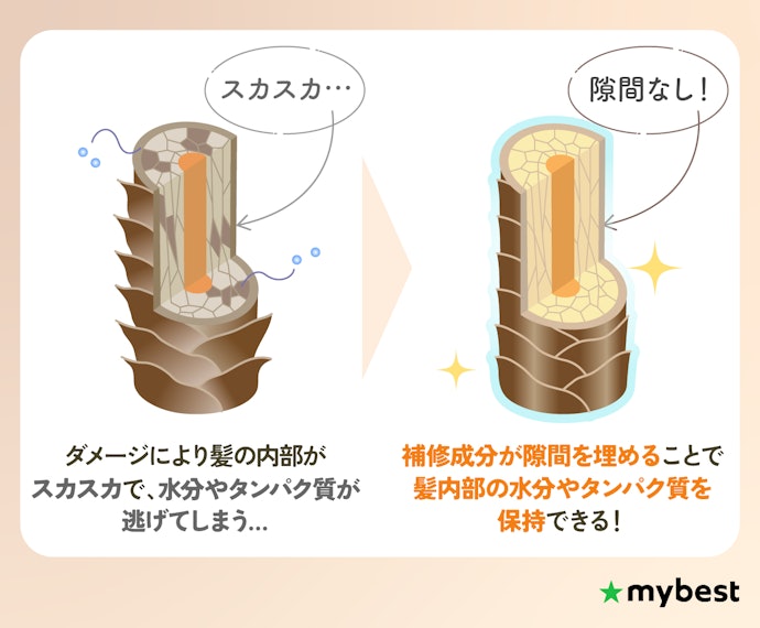 傷んだ髪には補修成分が大事