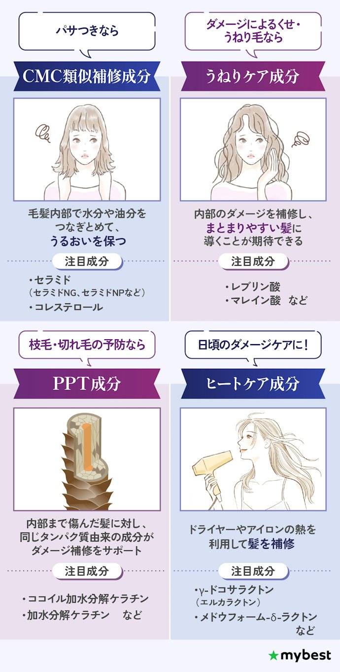悩み別に補修成分をチェックしよう