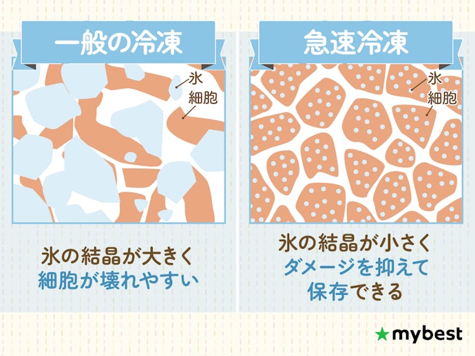 冷凍庫をよく使う人ほど「急速冷凍機能」をチェック!