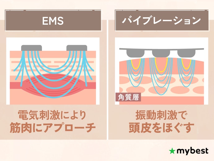 もたつきケアにはEMS、ほぐしケアにはバイブレーション付きの電気ブラシがおすすめ
