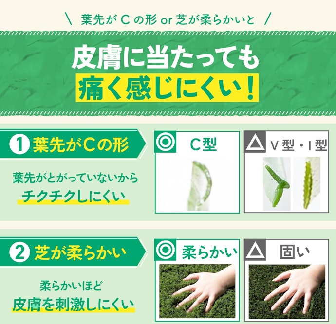 葉先がCの形・柔らかい芝だと、芝生の上を裸足で歩きやすい!