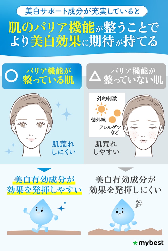 肌荒れ防止成分・整肌成分など美白サポート成分も要チェック