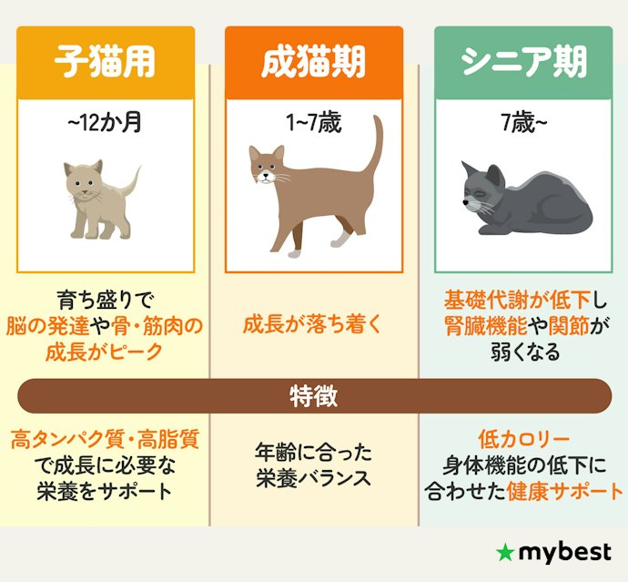 猫のライフステージに合わせて選ぼう