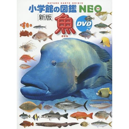 付属品が充実しているものがおすすめ