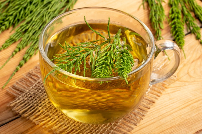 初心者はブレンド茶が飲みやすくておすすめ