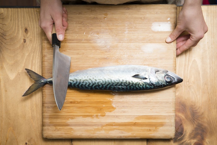 魚のサイズに合わせて刃渡りをチェック。汎用性が高いのは16〜18cm