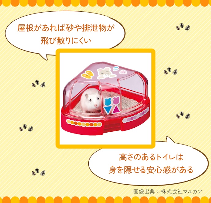 トイレの高さや屋根の有無に注目しよう