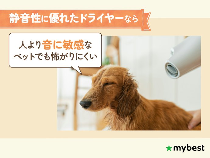 ペットが音量に敏感で怖がるなら、騒音レベルが低いものをチョイス