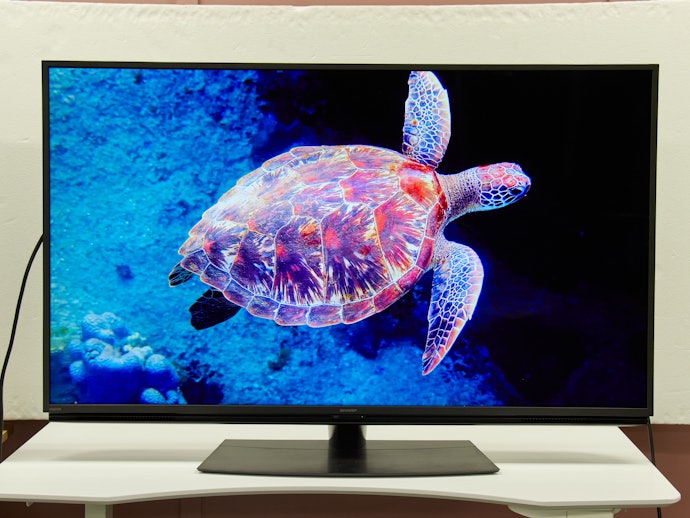 解像度はフルHDと4Kの2種類。高精細に楽しむなら4Kがおすすめ