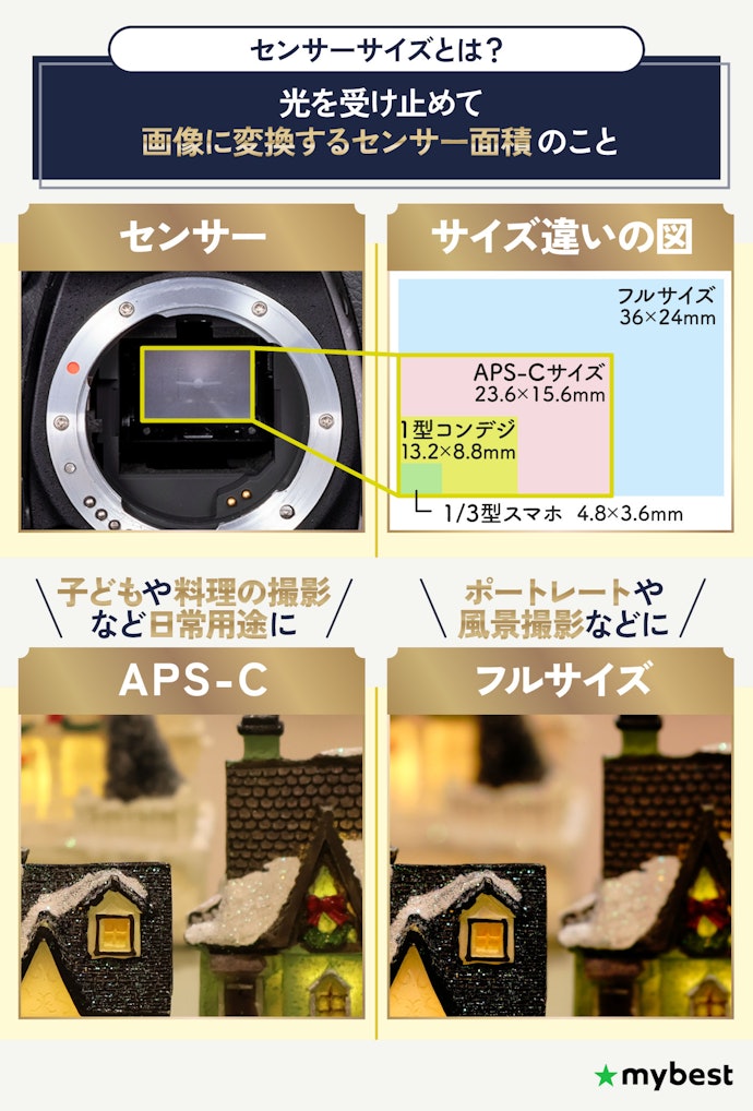 センサーサイズは、初心者でも扱いやすいAPS-Cがおすすめ