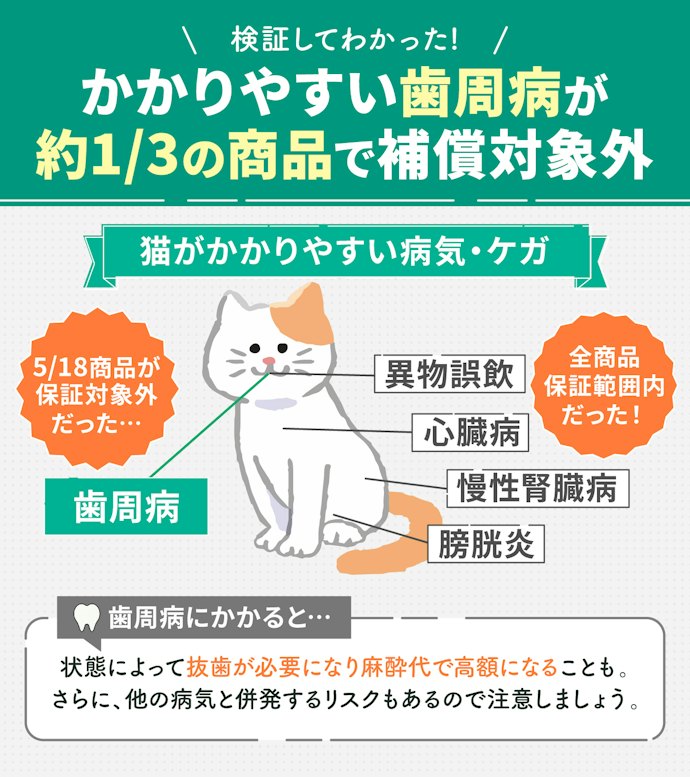 病気やケガの補償範囲が広いものを選ぼう!歯周病までカバーされているペット保険がおすすめ