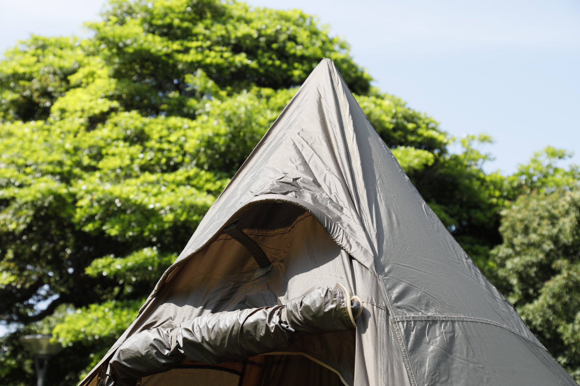 5eb902f0dff6181d8d77fa015170a0