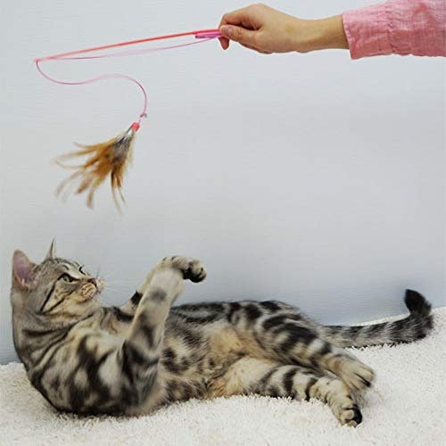 猫の食いつきを狙うなら、動かしやすさ・音・においに注目しよう