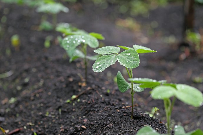 効果をできる限り持続させるために、雨に強い防水タイプがおすすめ