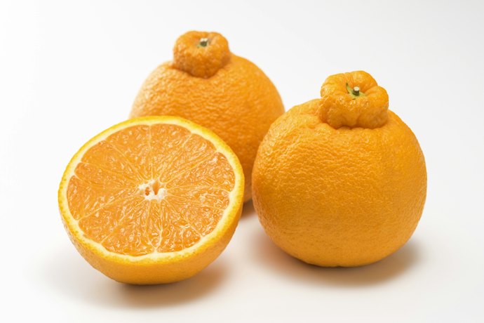 デコポンの味や栄養・カロリーは?