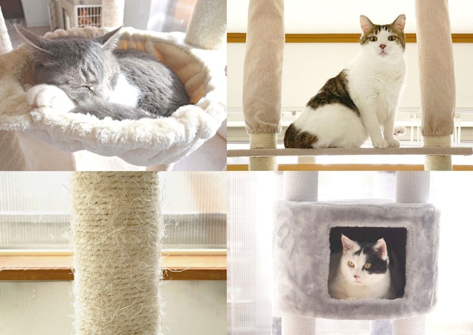 徹底比較】多頭飼い向けのキャットタワーのおすすめ人気 徹底比較】多頭飼い向けのキャットタワーのおすすめ人気