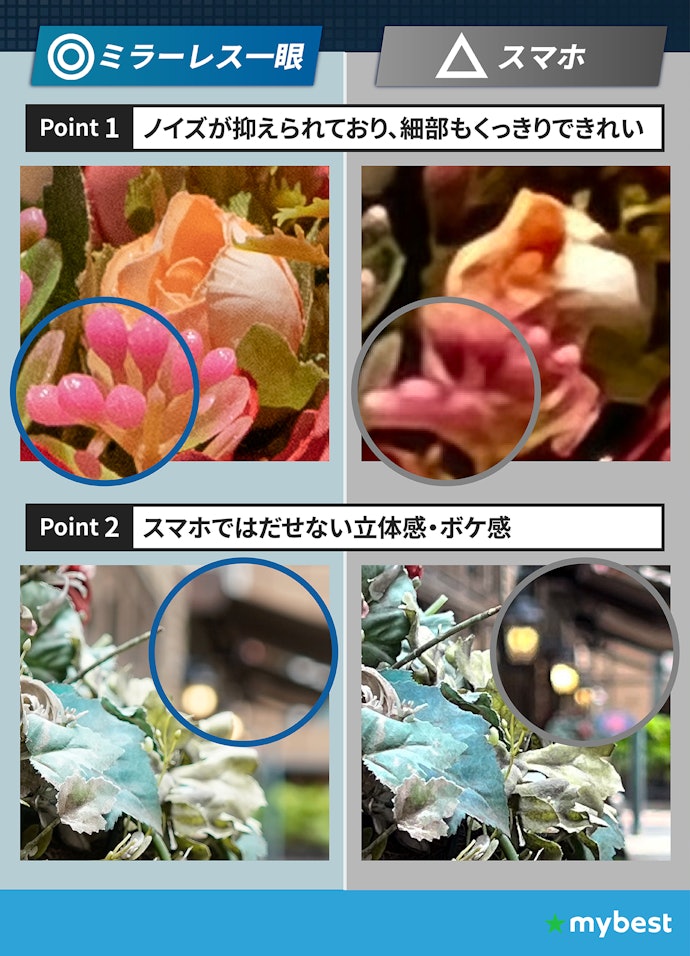 ミラーレス一眼の魅力は、繊細な解像力と美しいボケ表現