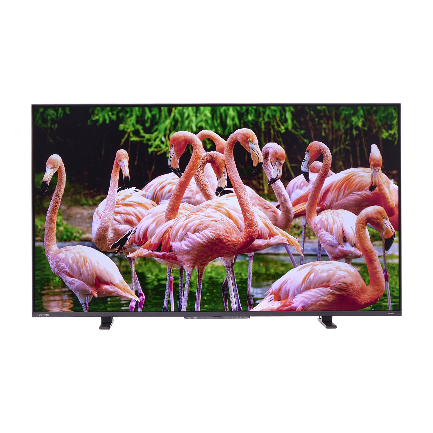 REGZA 液晶テレビ 50M550L TOSHIBA 東芝 REGZA 50M550L 液晶テレビ 50V型 4Kチューナー内蔵