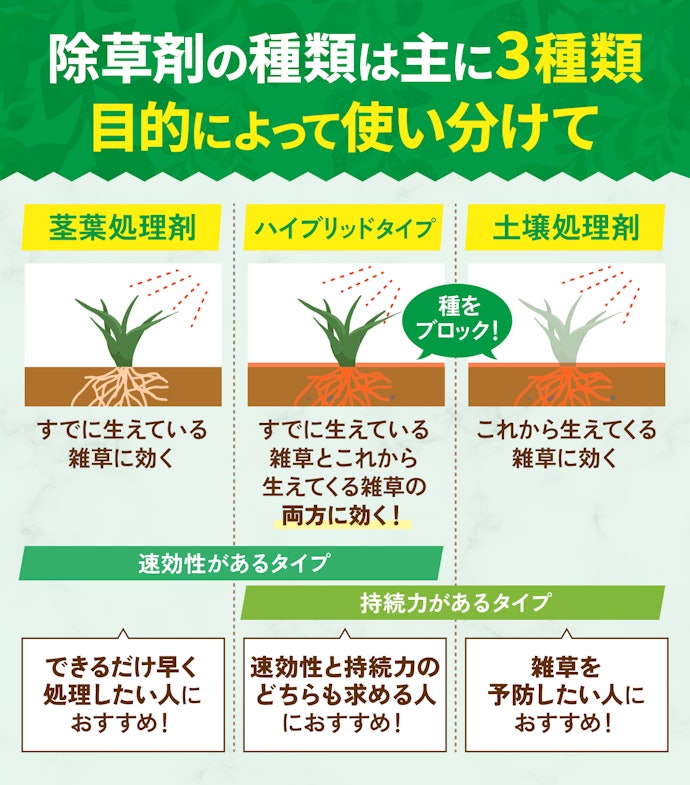 枯らしたい雑草の状態に合わせて種類を選ぼう