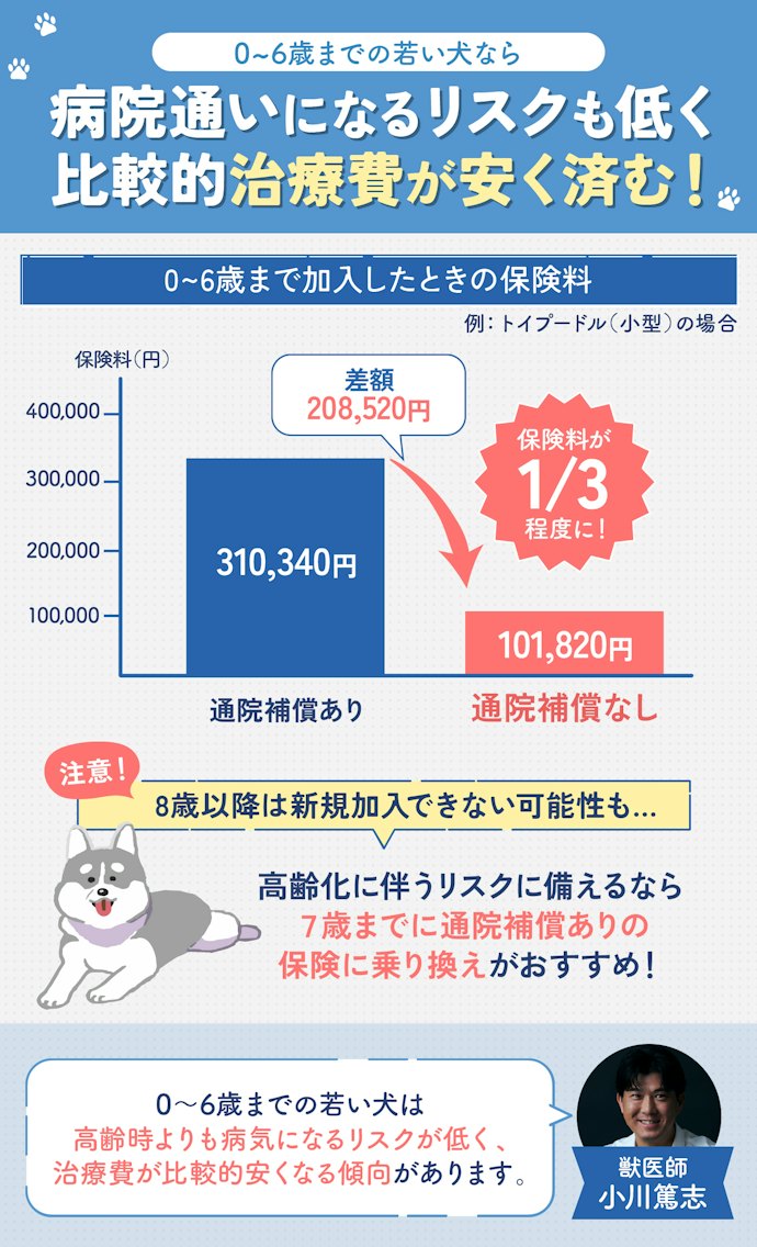 0~6歳までの犬なら通院補償なしを検討しよう