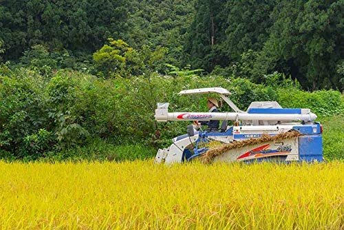 風味にこだわるなら収穫年をチェック。新米がおすすめ