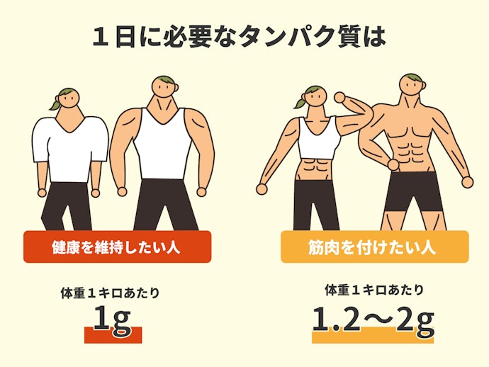 飲む目的に合わせて、1本あたりのタンパク質量を選ぼう