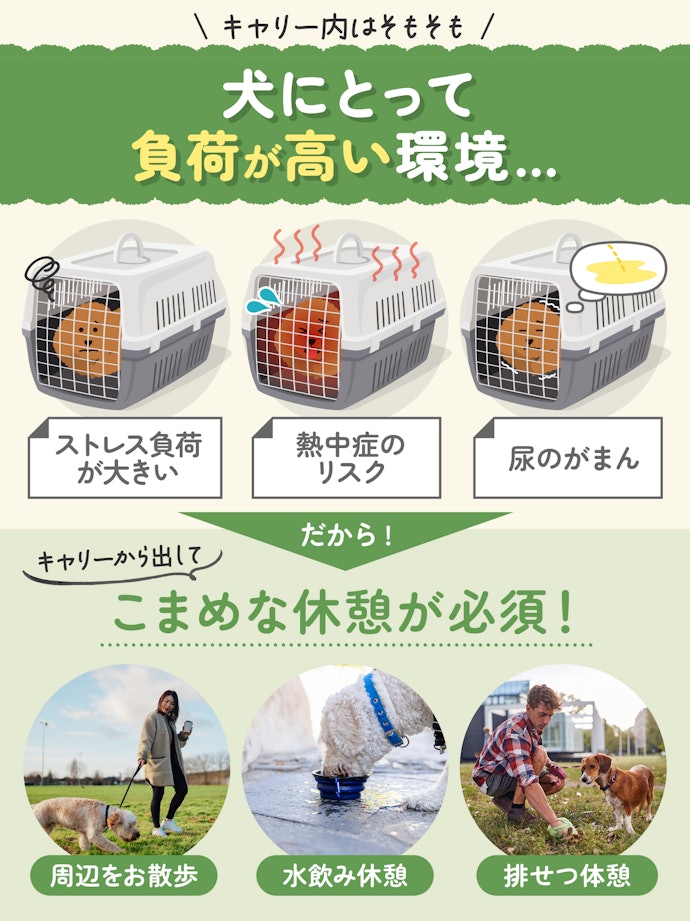 長時間の移動なら、1〜2時間に1回は休憩をさせてあげよう