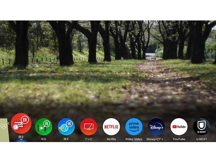 ネット動画を楽しみたいなら、よく使う動画配信サービスに対応しているか確認しよう