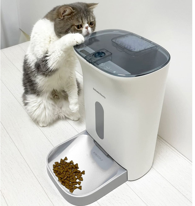 カリカリマシーン V2 Amazon | 獣医師推奨 うちのこエレクトリック 自動給餌器